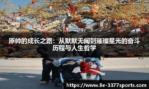 原帅的成长之路：从默默无闻到璀璨星光的奋斗历程与人生哲学
